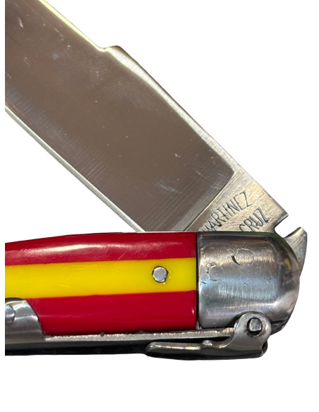 jj martinez santa cruz de mudela bandera de España